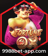 Cashback